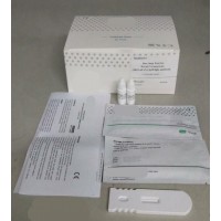Test Kit coronavirus 25 unit
